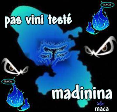 pas vini test&eacute; madinina